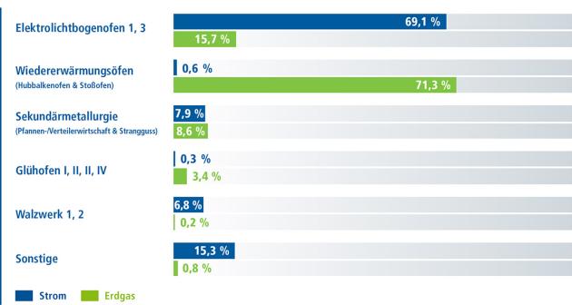 Hauptenergieverbraucher der LSW bei Strom und Erdgas (Stand 2017)